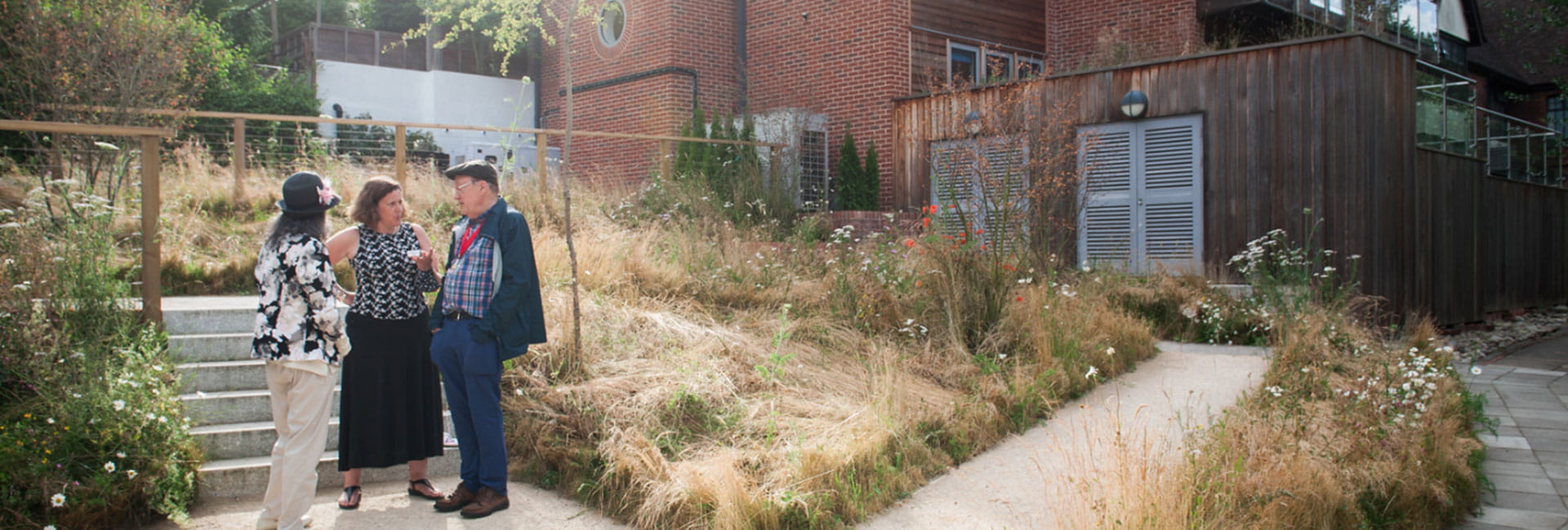 Lombard Square Community, Hospice Opens Up